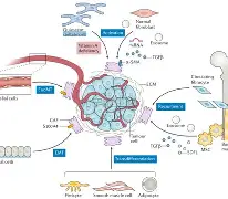 江南体育入口 -kha肺 